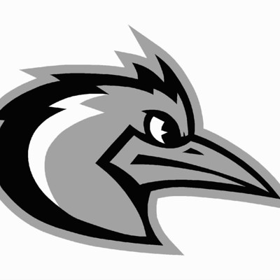 Roadrunner